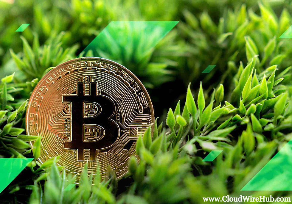 Green Blockchain Strategies