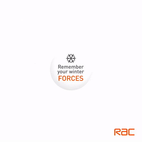 rac_forces_1901.gif