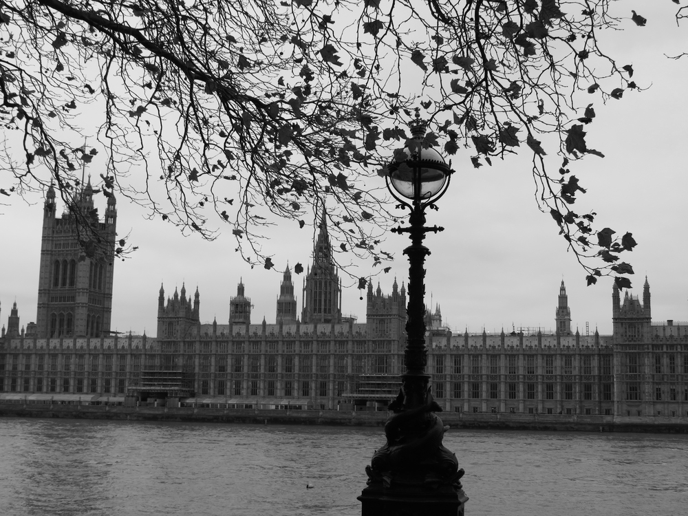 Further development 2