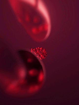 VINIA_vertical_notext-ezgif.com-video-to-gif-converter.gif