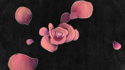 rdio_HOLBROOKS_Image_00