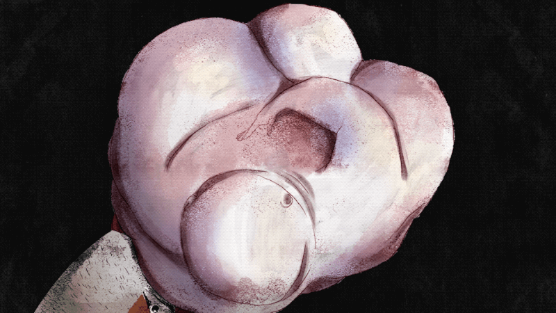18526_my2IHn_rdio_gogol-bordello_02gif