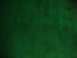 green-texture-background-2272-x-1704-s4p4nc3f7n1o3eyn.jpg