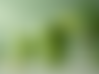 steps to completing a 3-day detox plan with rejuvenating detox methods