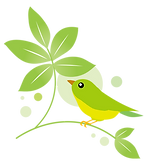鳥