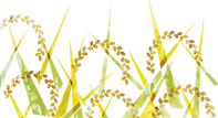 稲穂のイラスト