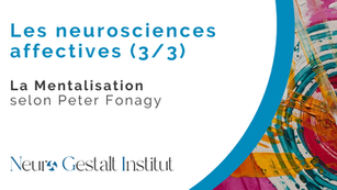 Les neurosciences affectives (3/3)