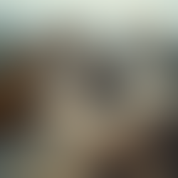 Serviços de Demolição Residencial e Comercial