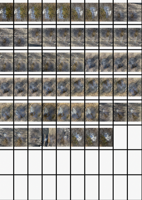Screenshot 2025-04-23 at 14.57.33.png