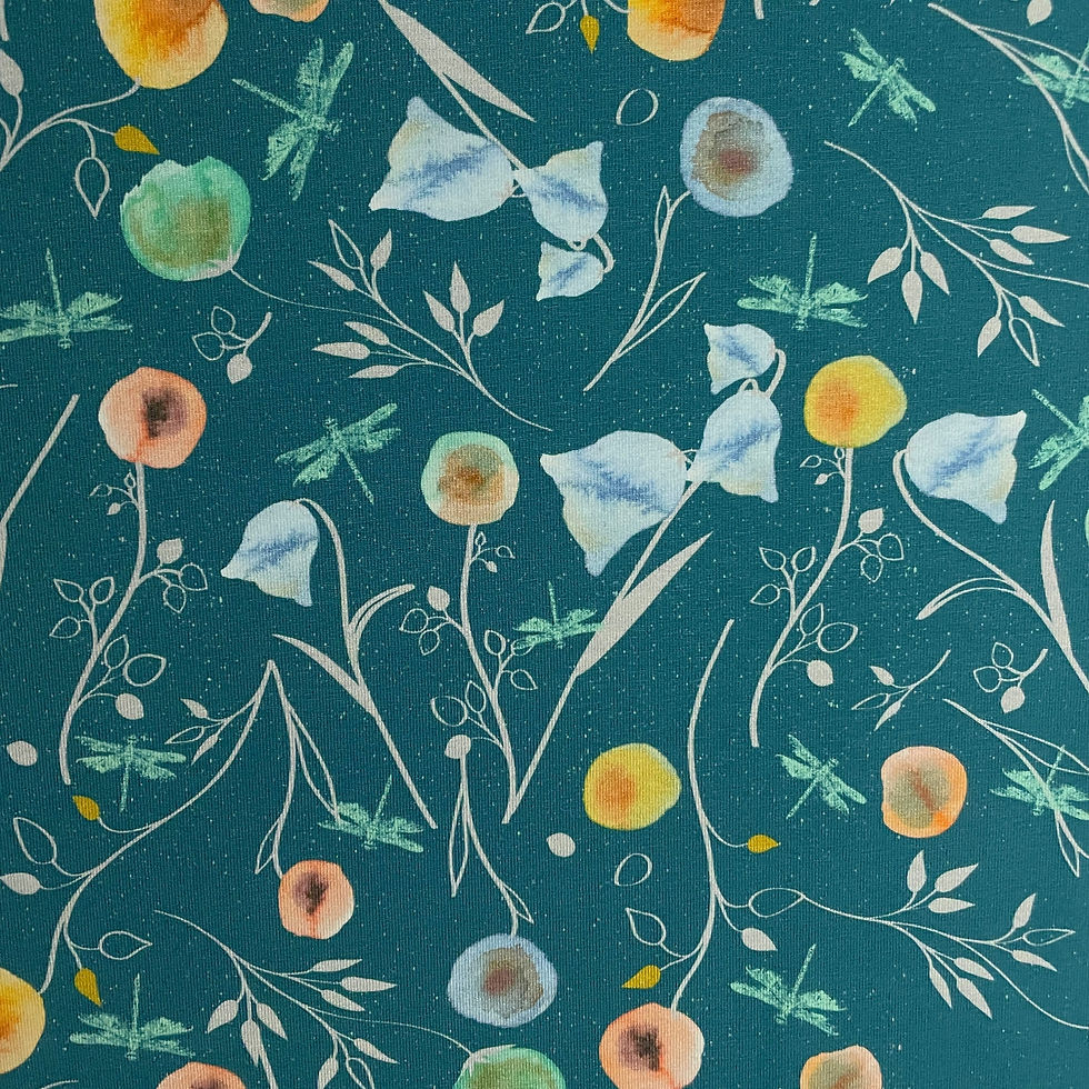 Jersey mit einer Libellenwiese, Ansicht von oben