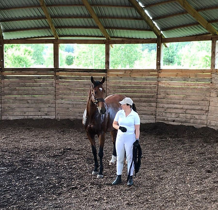kurs Join Up Monty Roberts