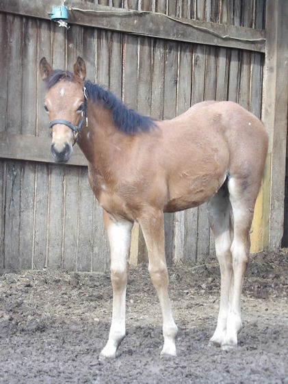 100_4571.JPG