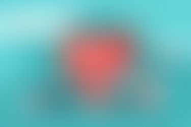 How private funders can give