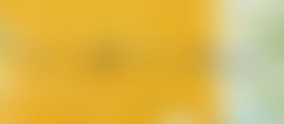 A year in review at harp-weaver