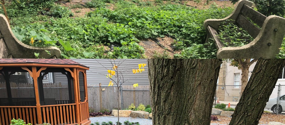 House of Grace Garden and a mission to give back