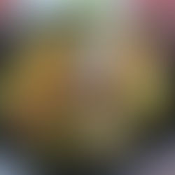 Cocido Típico Especial