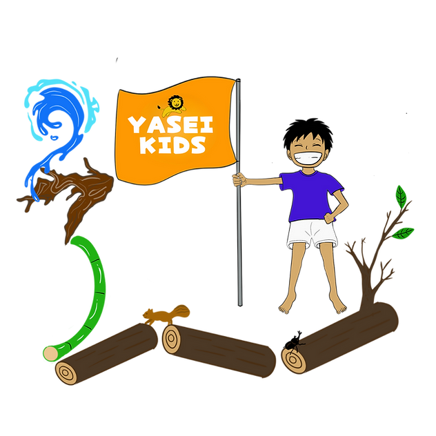 YASEI KIDS ビジョン 遊ぶように身体を動かす