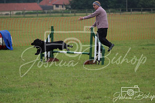 IMG_3747.jpg