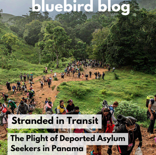 Stranded in Transit: The Plight of Deported Asylum Seekers in Panama