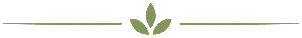 decorative.png