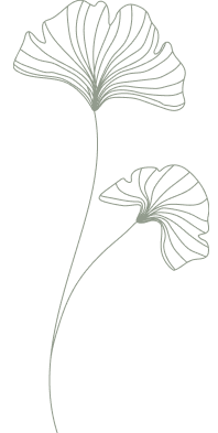 Flower-2.png