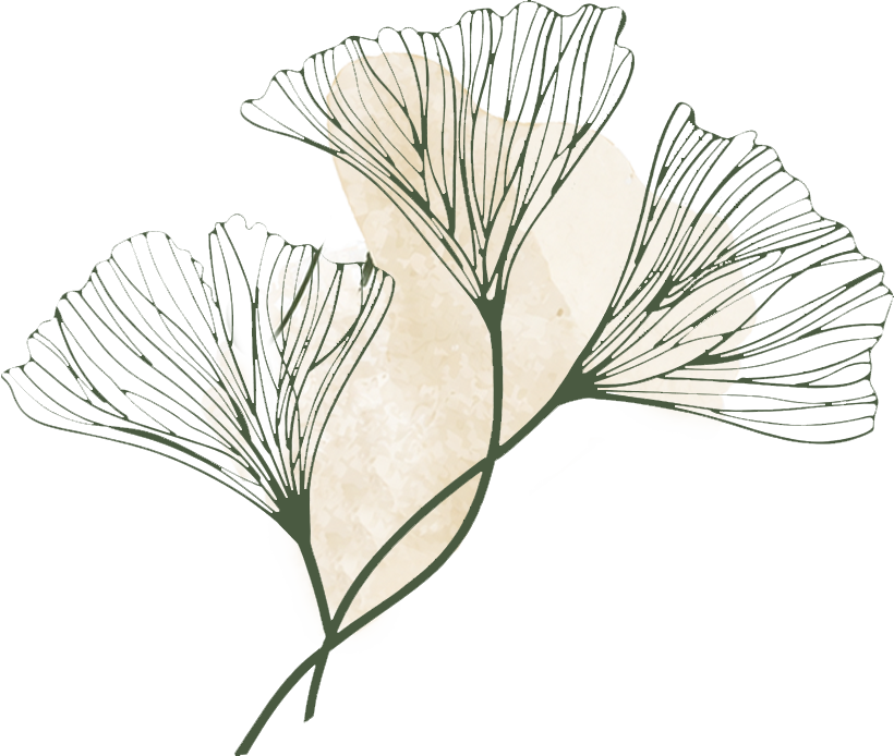 drawing-wire-ginkgo-biloba-art-png-favpng-EzPXGURtKBYUmzLtMHHUJeu1Bu.png