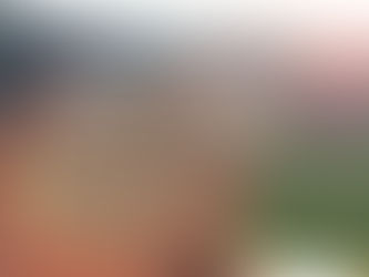 【Baseball】拿到大聯盟實戰球!