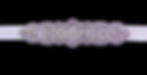 Bridal Sash- CS169