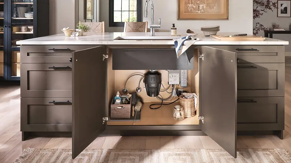 Moen-ex-series-garbage-disposal.webp