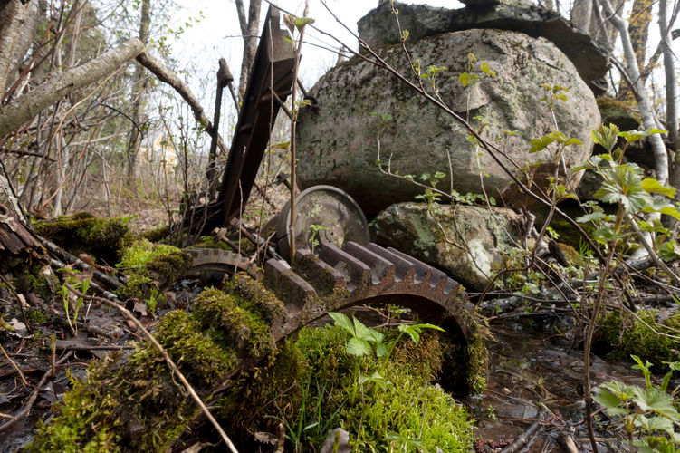 Ruines du moulin Ruiter et Mularkey 