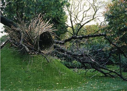 UDO Nils (né en 1937), Habitat, 2000,  Paris, Jardin des Champs-Elysées..jpg