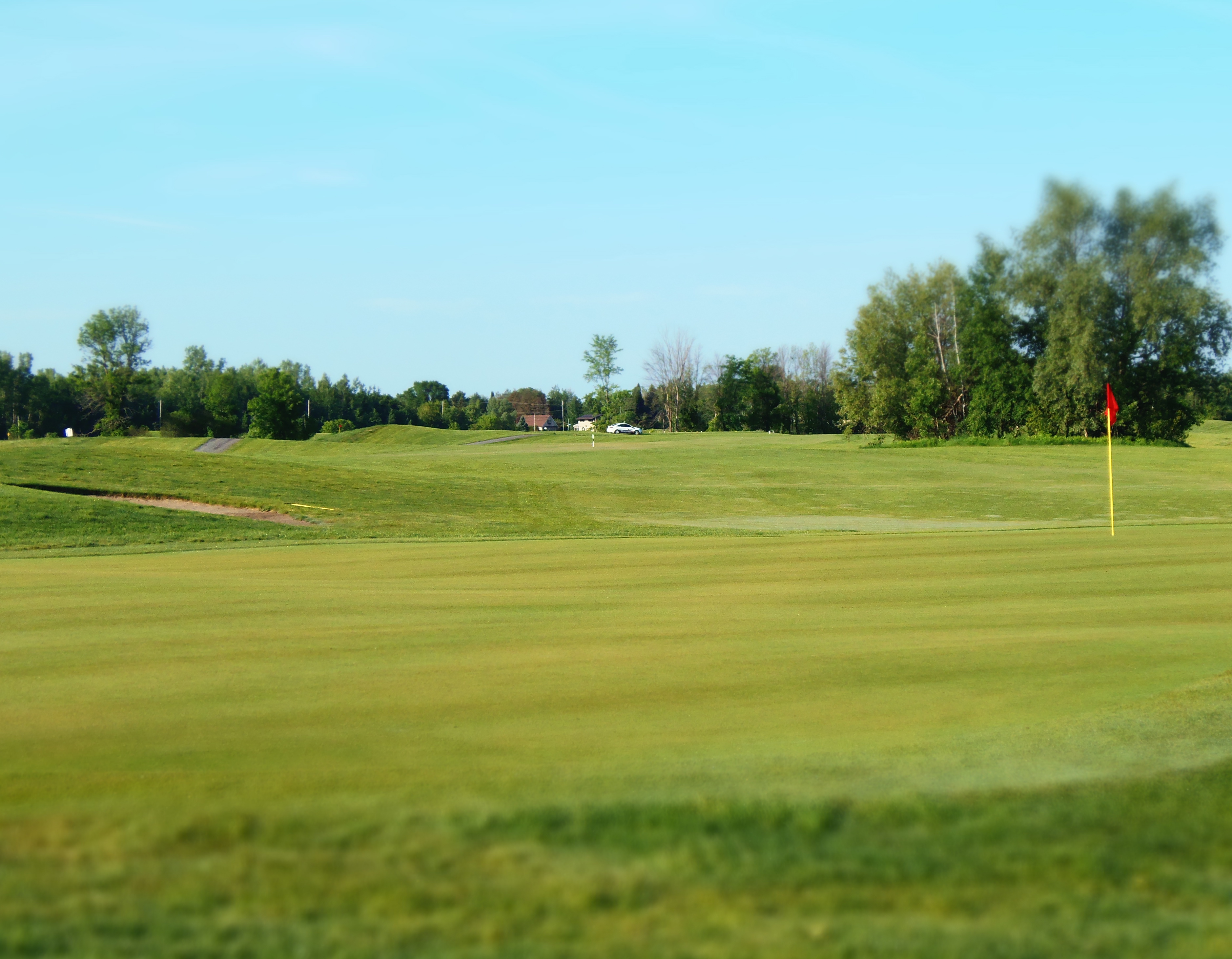 Anderson Links Golf Club