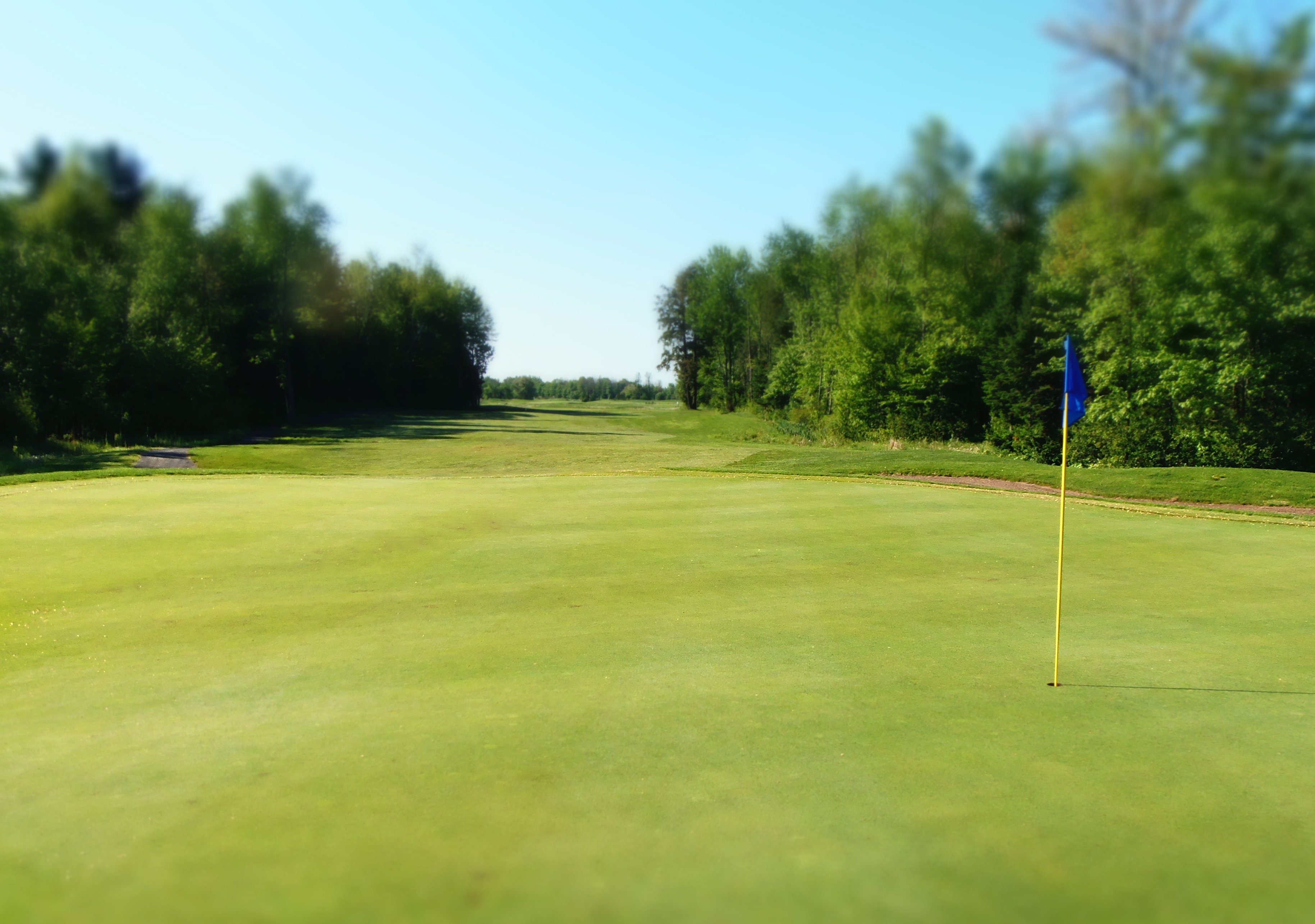 Anderson Links Golf Club