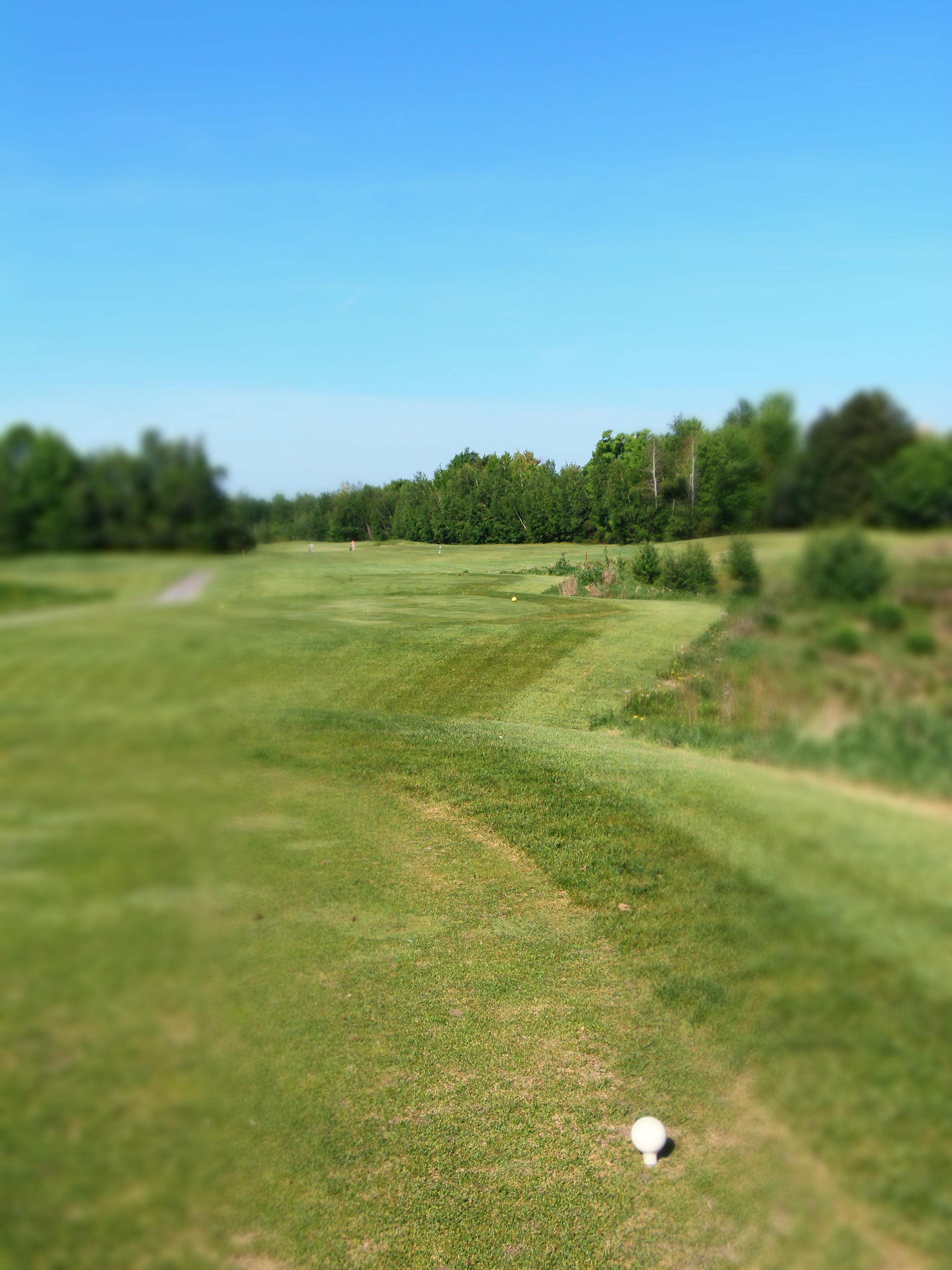 Anderson Links Golf Club