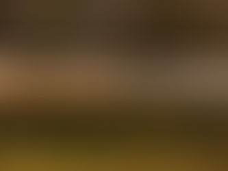 Governo, striscioni di CasaPound contro Draghi in tutta Italia