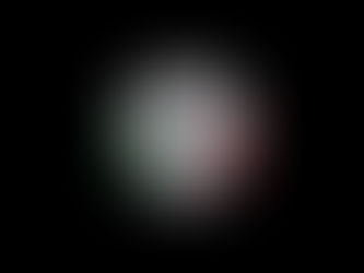 Friuli-Venezia Giulia: CasaPound irrompe in aula del Consiglio Regionale.