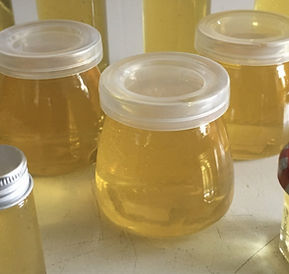 honey 1_edited_edited.png