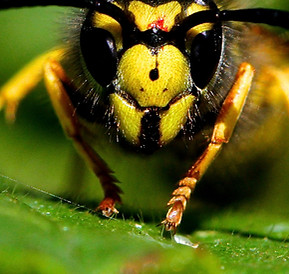 Here’s looking at you !_edited.jpg