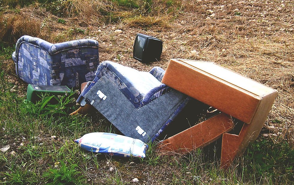 Junk Furniture on Lawn JPEG.jpg