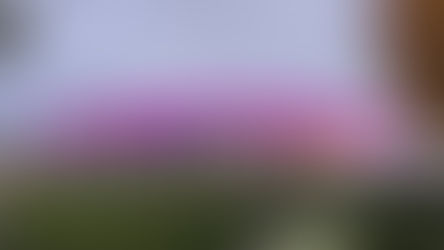 F-Jugend erlebt Bundesligaluft – Zu Besuch beim Heimspiel der TSG Hoffenheim