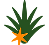 WEBSITE-20.png