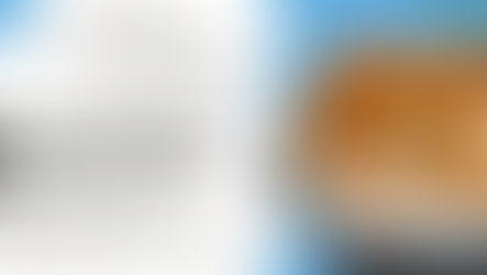 Pre-Drywall Inspections: Catch Issues Before the Walls Go Up