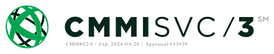 53939-Website Application Development and Program Management Projects - CMMI Services V2.0