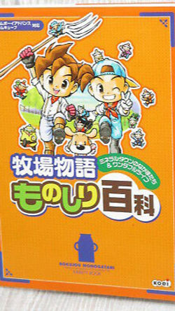 Strategy Guides