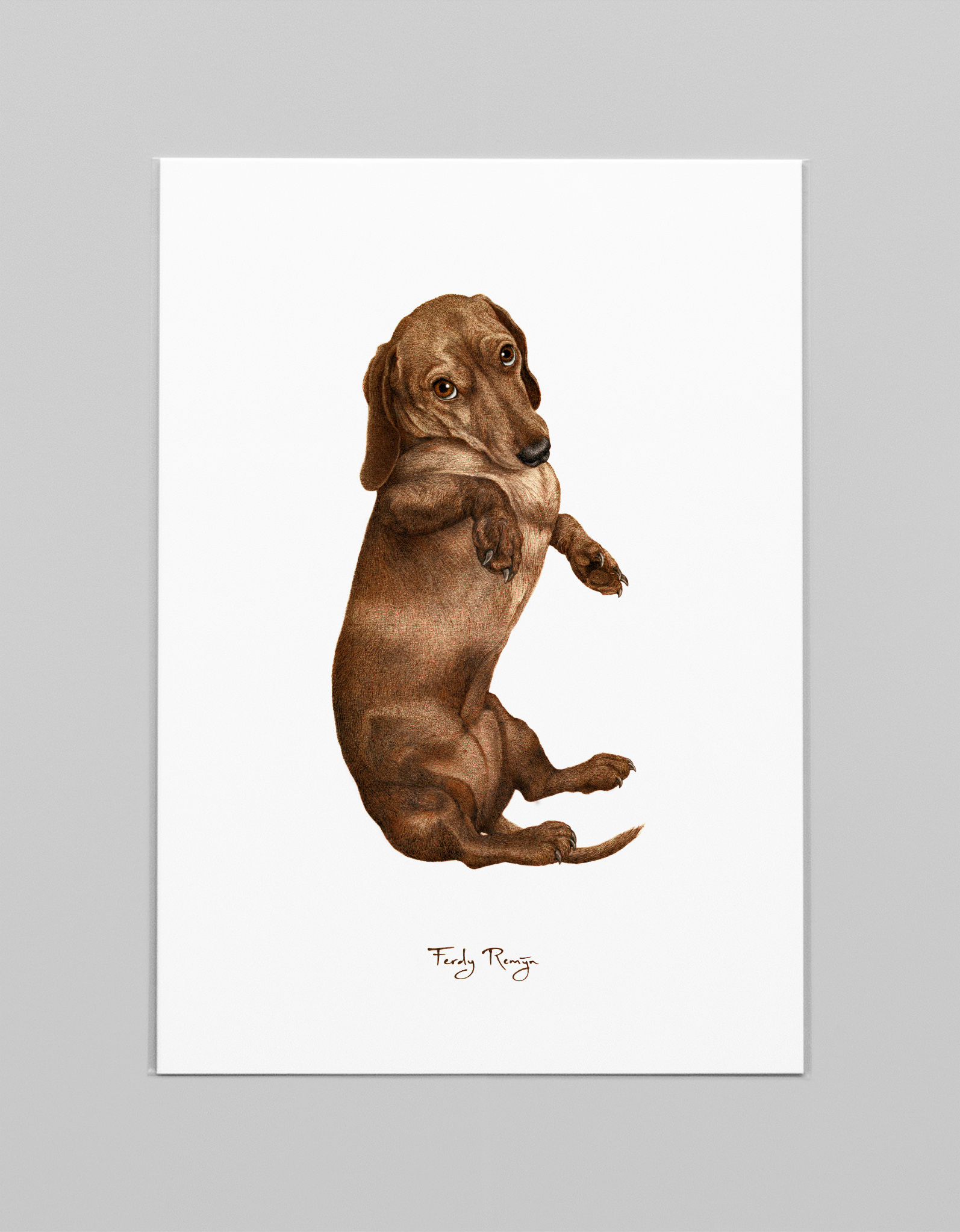 Art print gladharige teckel (kleur)