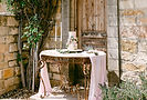 the-fourniers-garden-elegance-at-sunston-81_副本.jpg