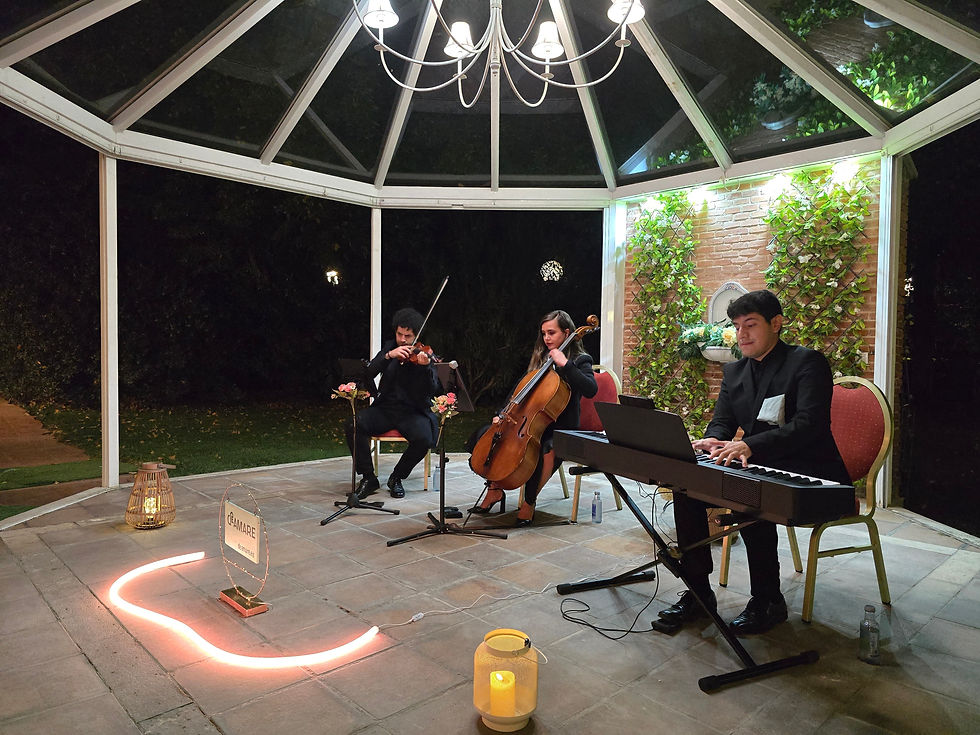 Trío de violín, chelo y piano