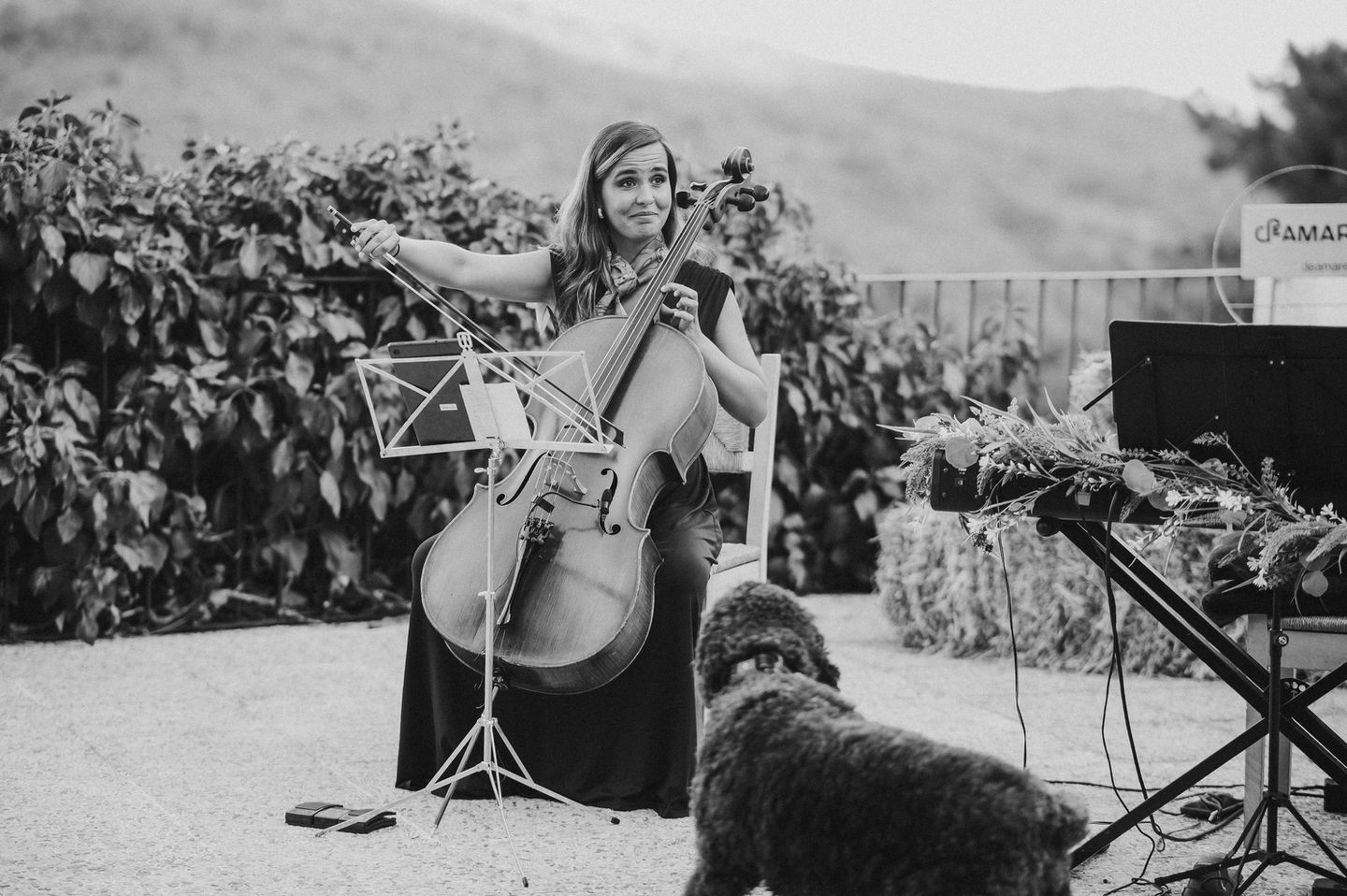 Música en vivo para boda civil