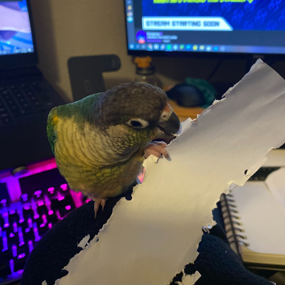 Phro Shredding Paper