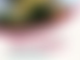 Aperte le iscrizioni!